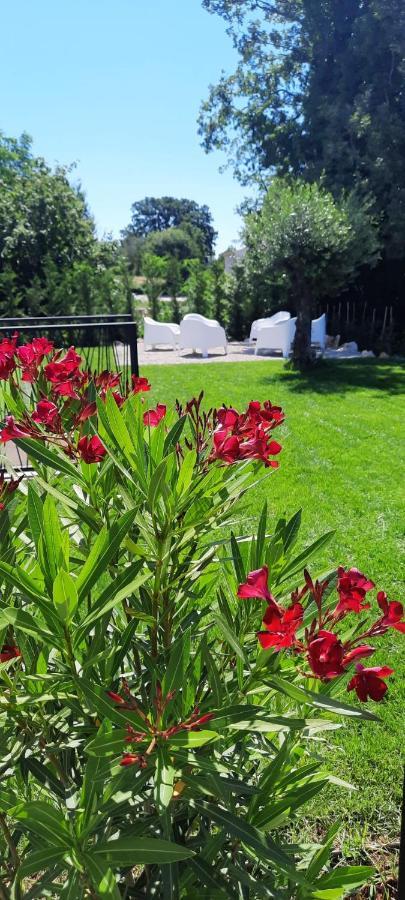 Villa Destiny Nedescina, Istrien, Kroatien Exterior foto